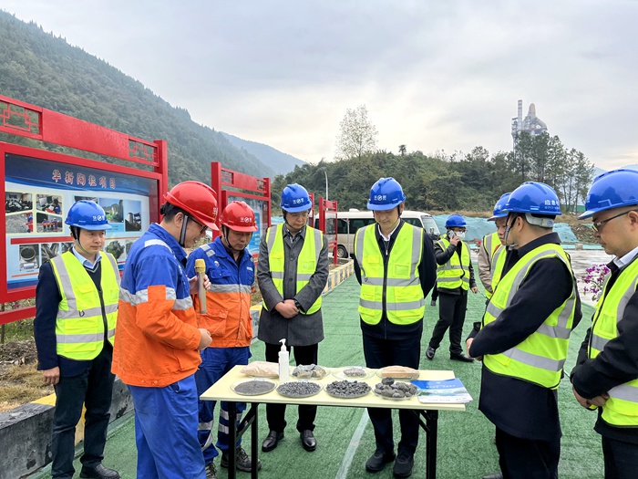 香港免费公开资料大全