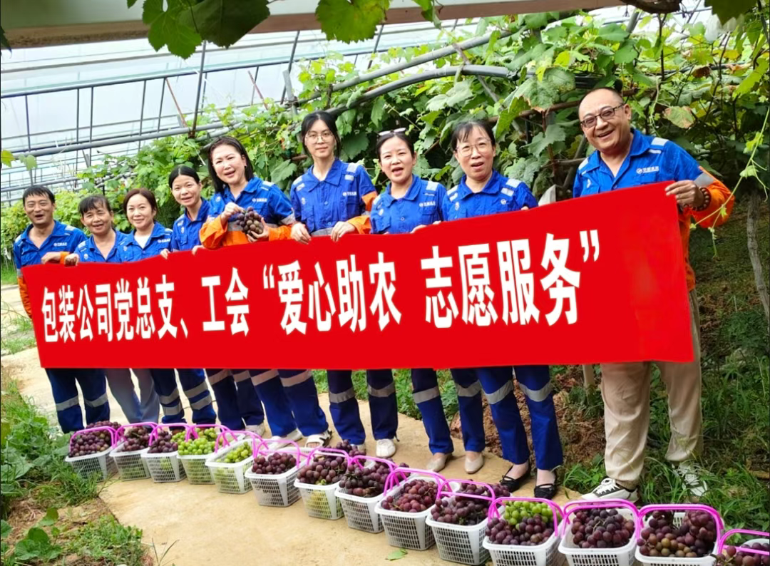 香港免费公开资料大全