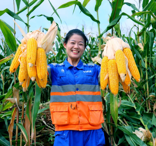 香港免费公开资料大全