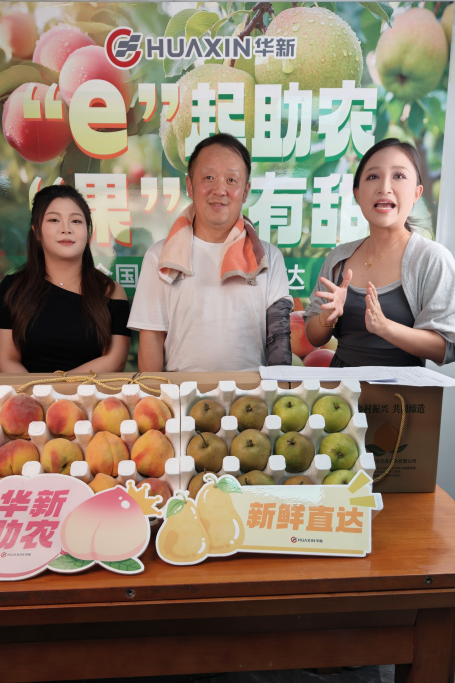 香港免费公开资料大全