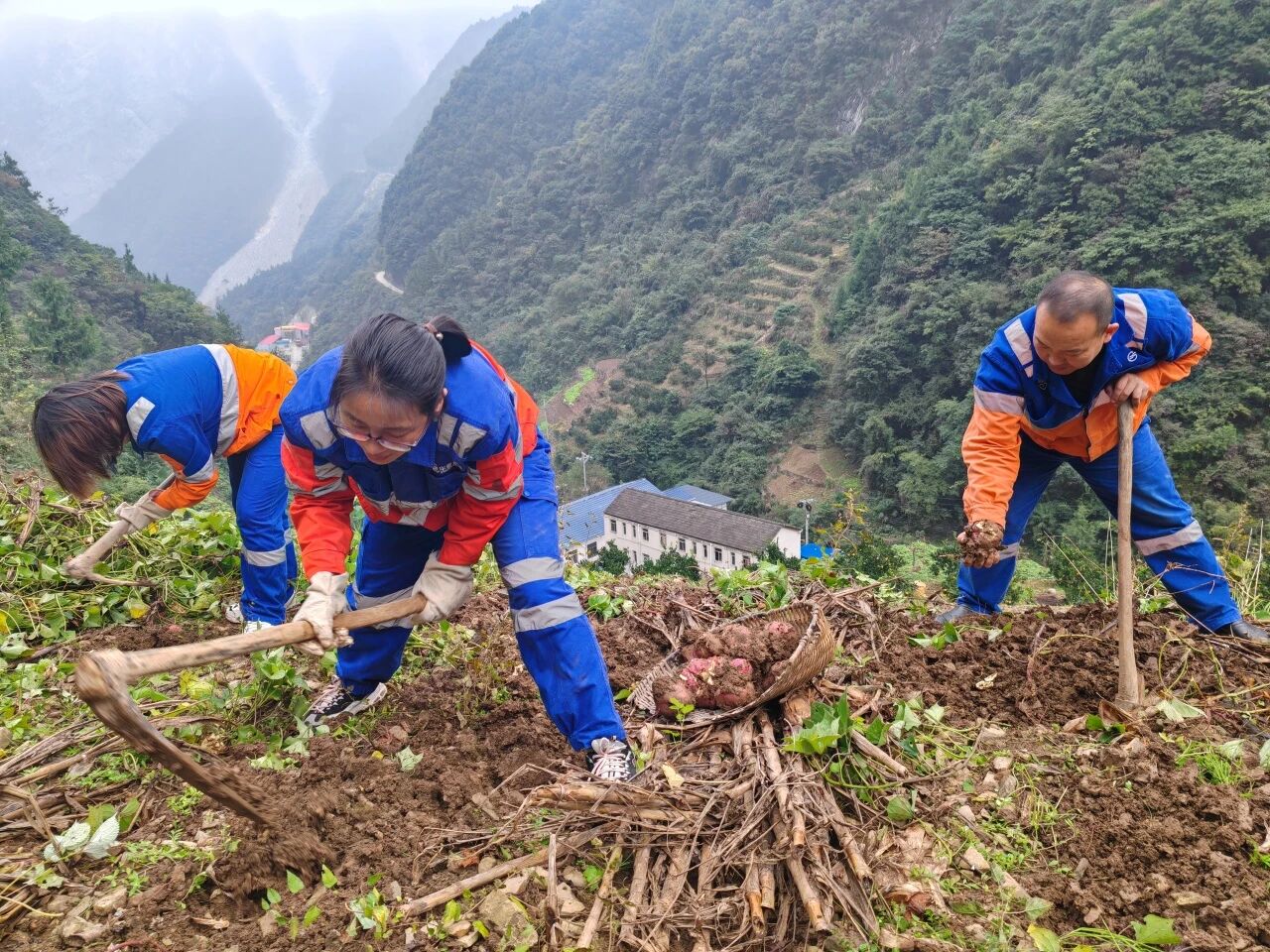 香港免费公开资料大全