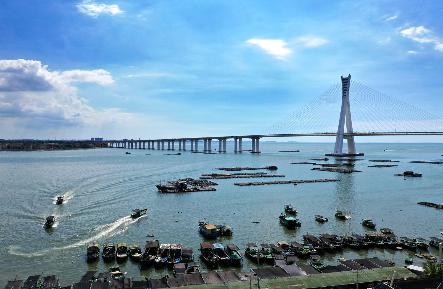 香港免费公开资料大全