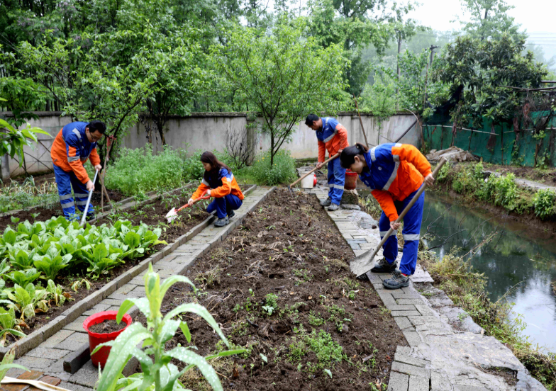 香港免费公开资料大全