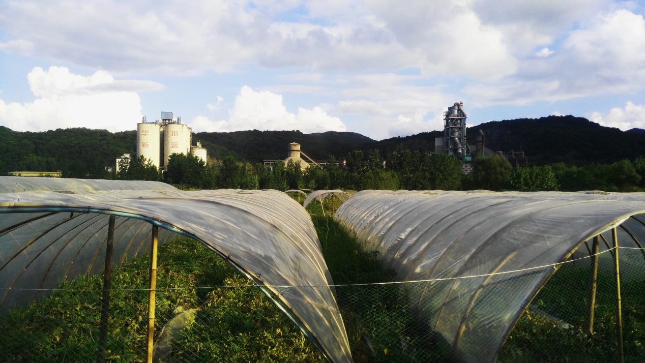 香港免费公开资料大全