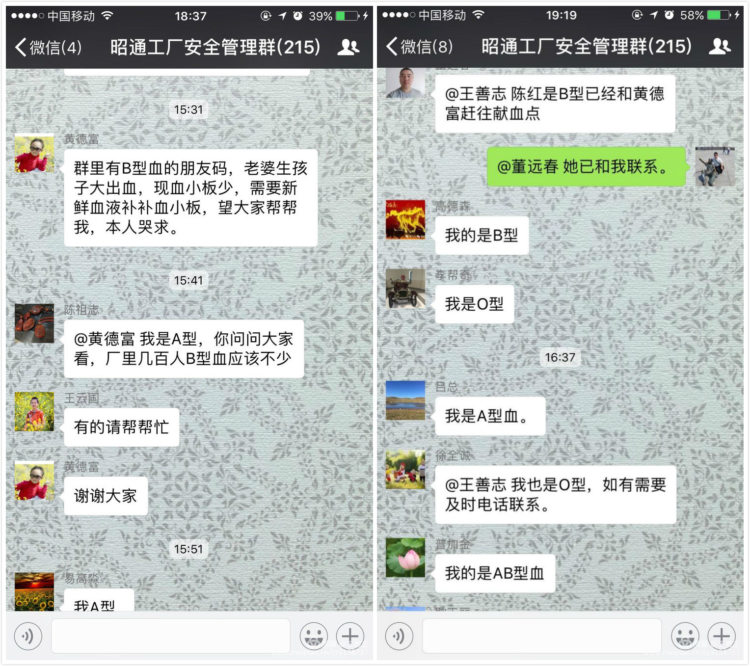 香港免费公开资料大全